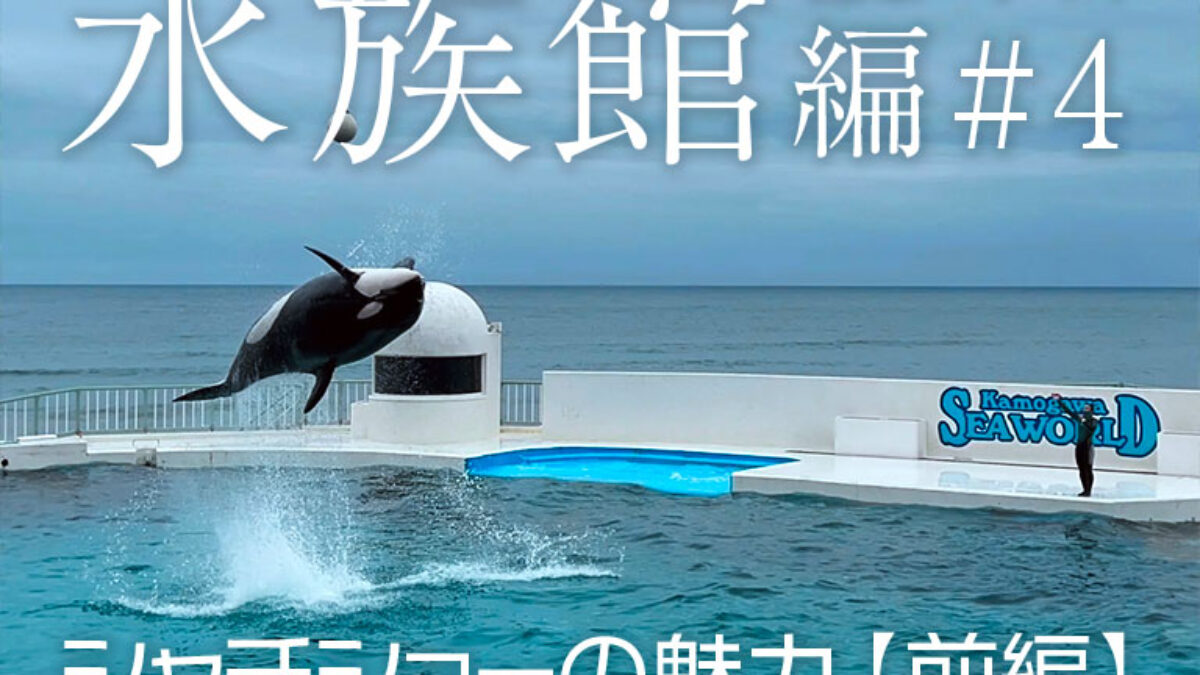 【希少】開園40周年記念 鴨川シーワールドのなかまたち　シャチ　オルカ　海獣　本 希少】開園40周年記念 鴨川シーワールドのなかまたち シャチ オルカ