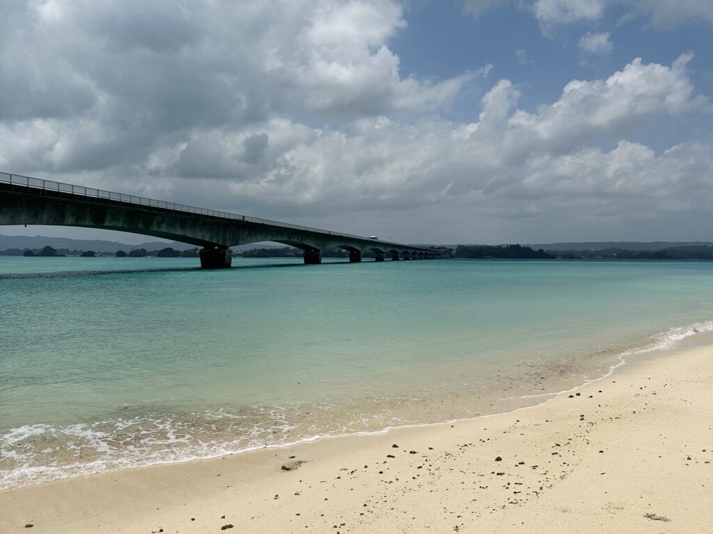 見える海が絶景